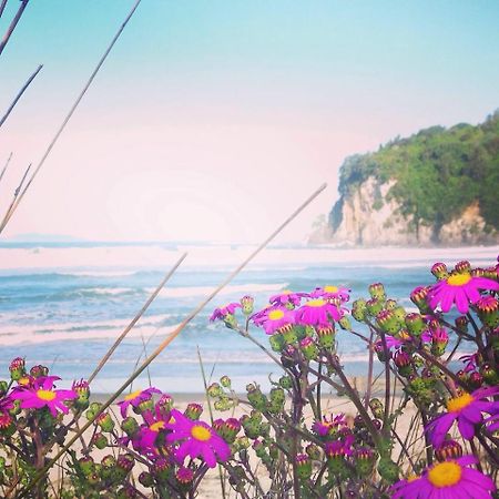 Estuary Retreat ファンガマタ エクステリア 写真